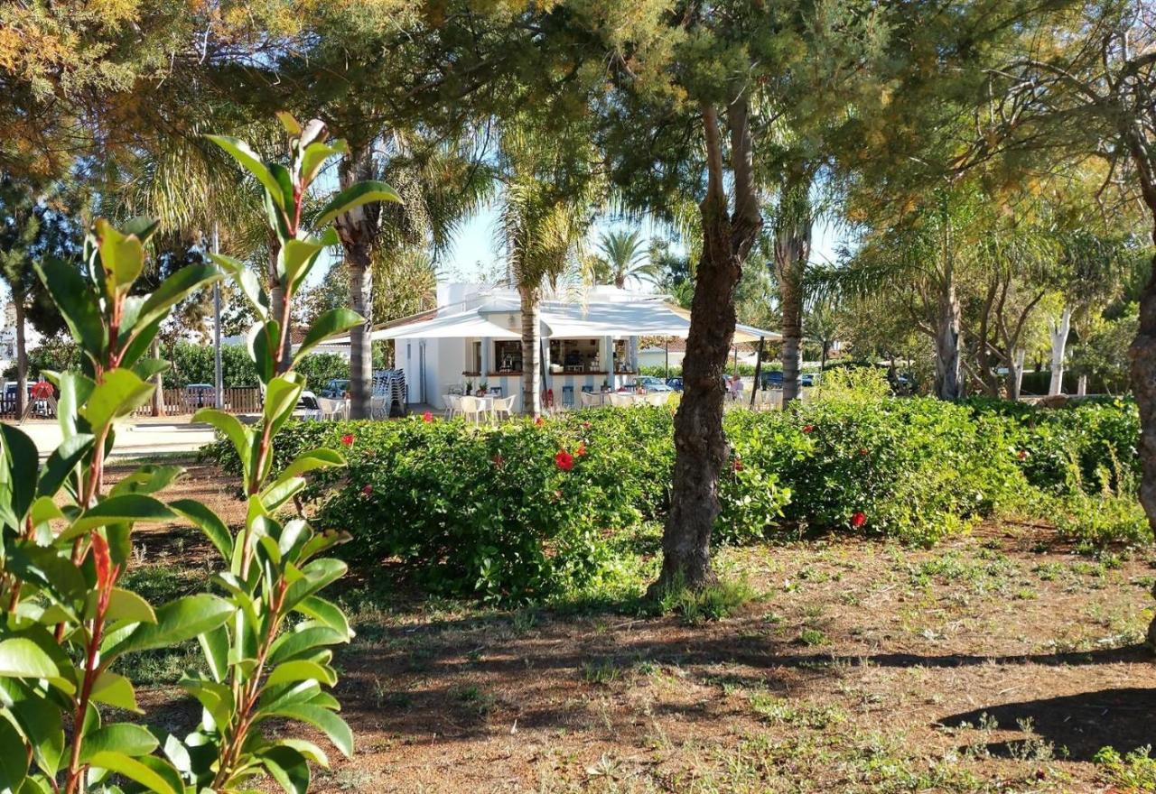 Jardines de Denia iii Villa Exterior foto